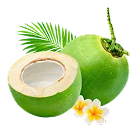 Coconut